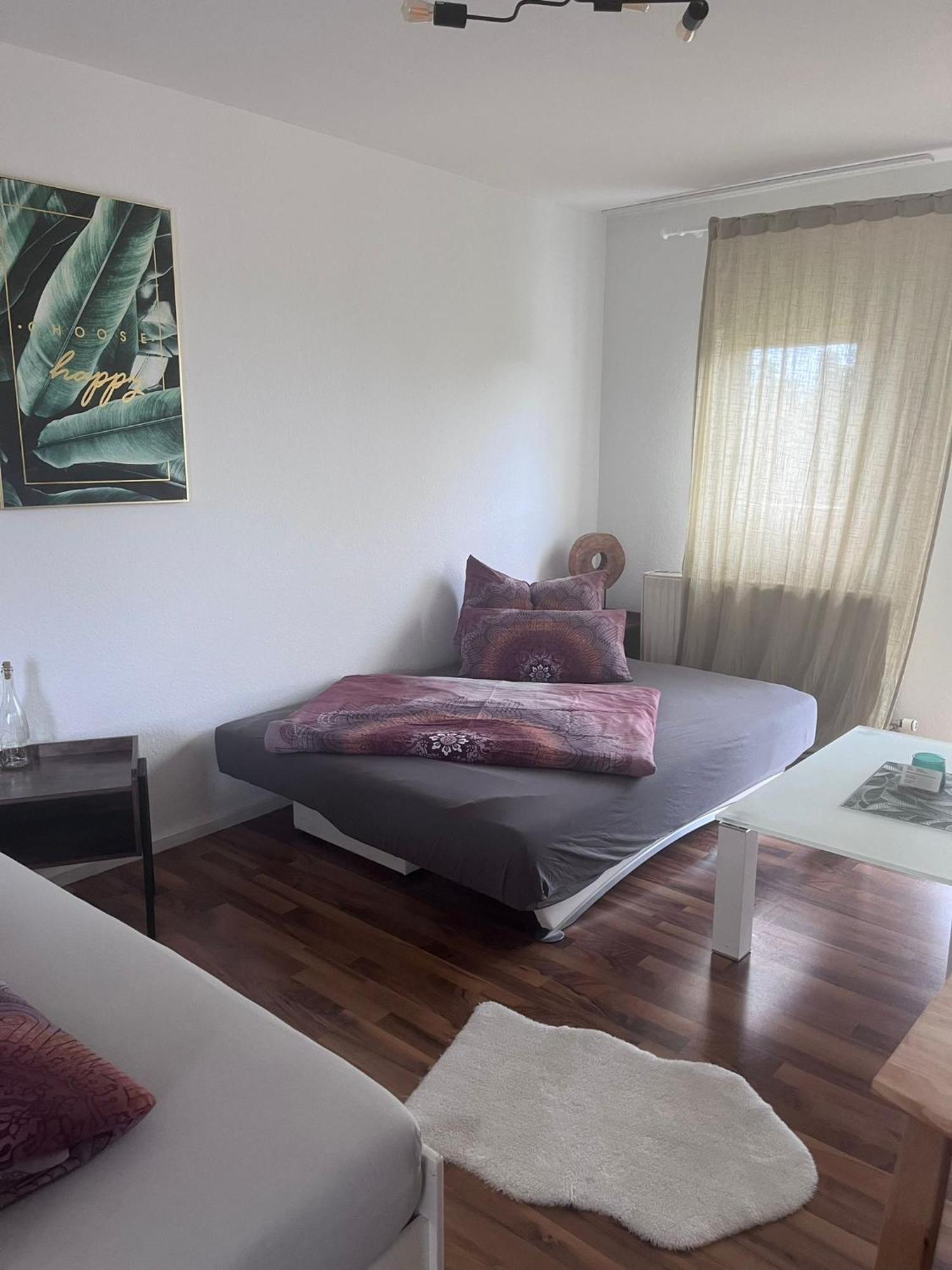 Mels Appartment شفيتزينجين المظهر الخارجي الصورة